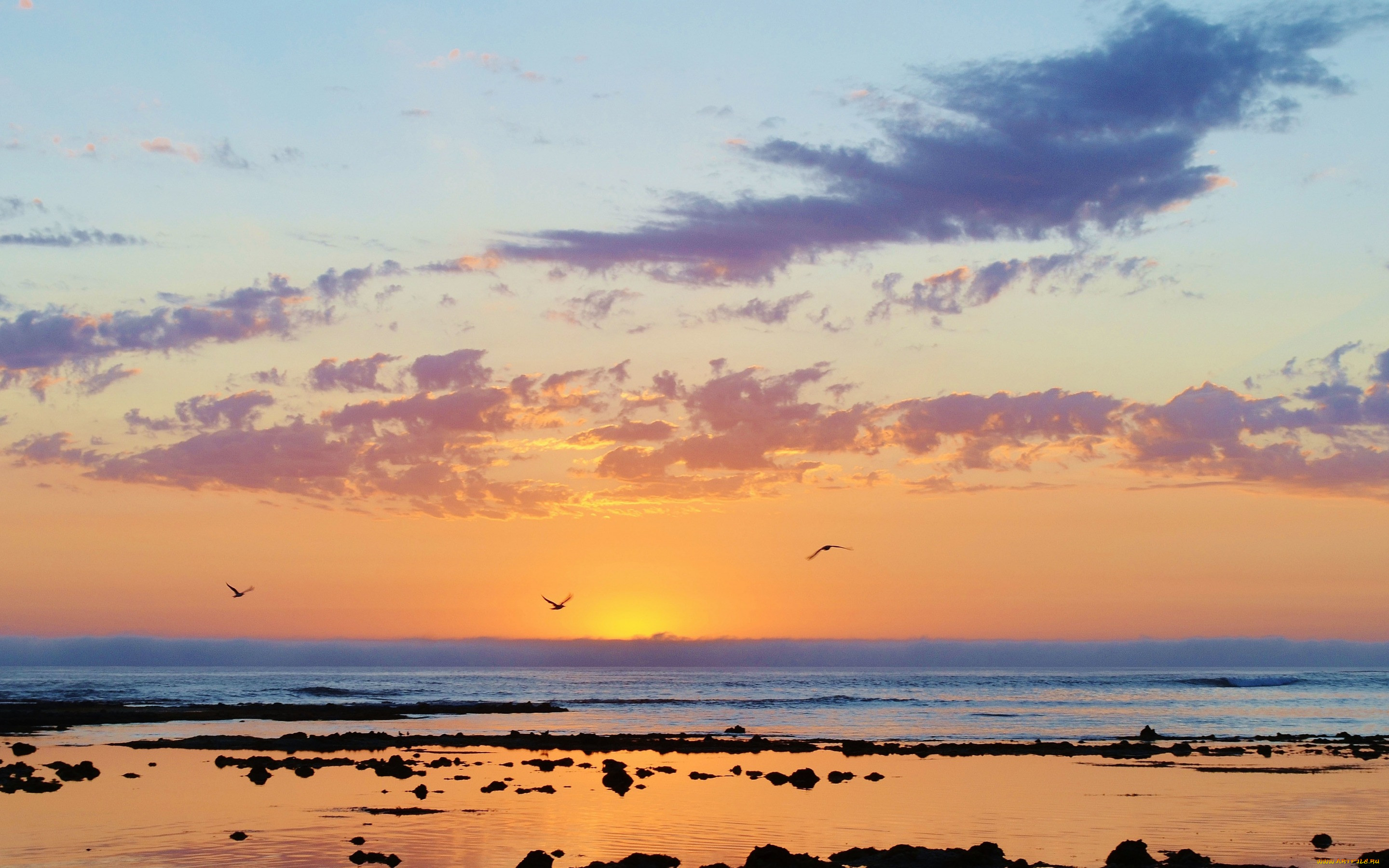 Kiwi sunset фото